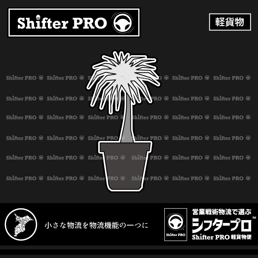 千葉県で観葉植物を運ぶ業者